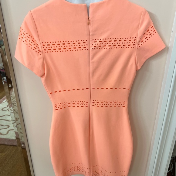 Elizabeth & James Dress - Picture 4 of 4